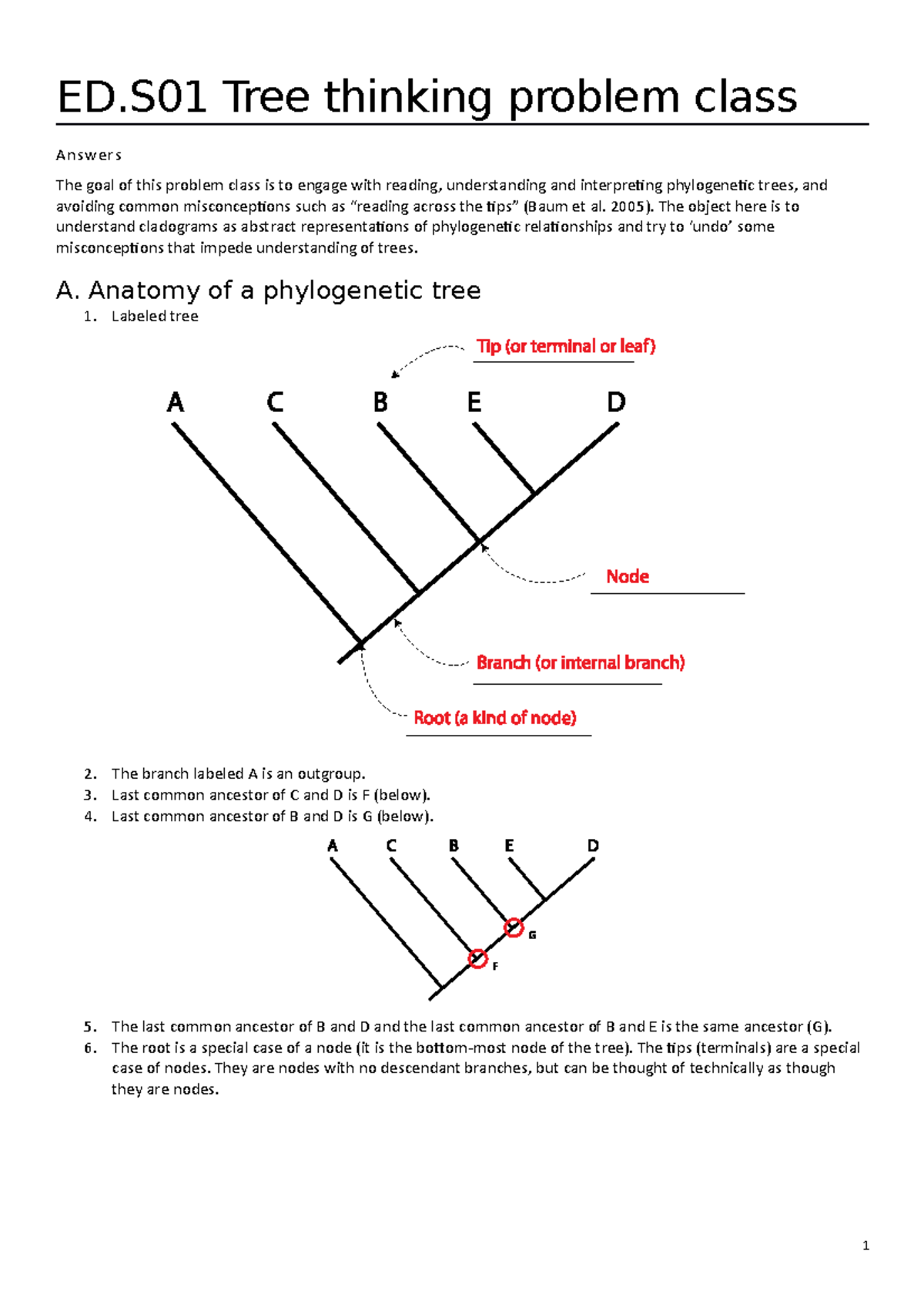 tree answers ED Tree thinking problem class Answers The