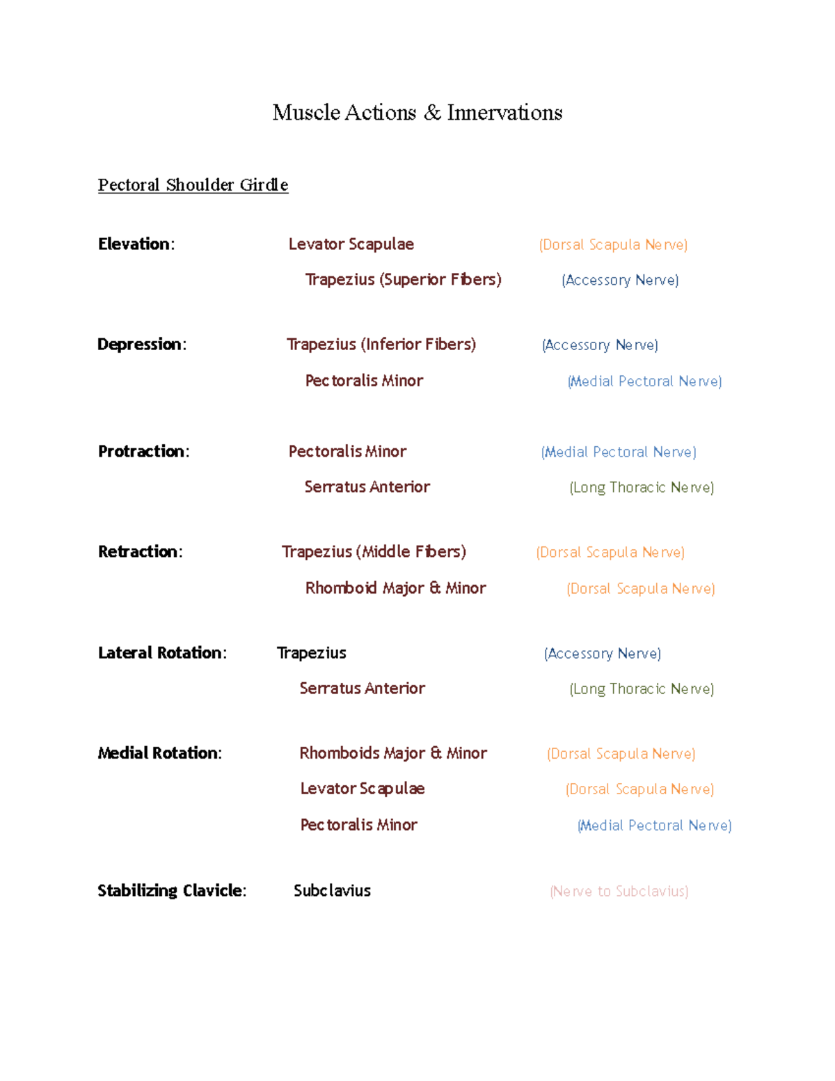 Actions, Innervations, Attachments - Spot Exam) - Muscle Actions ...