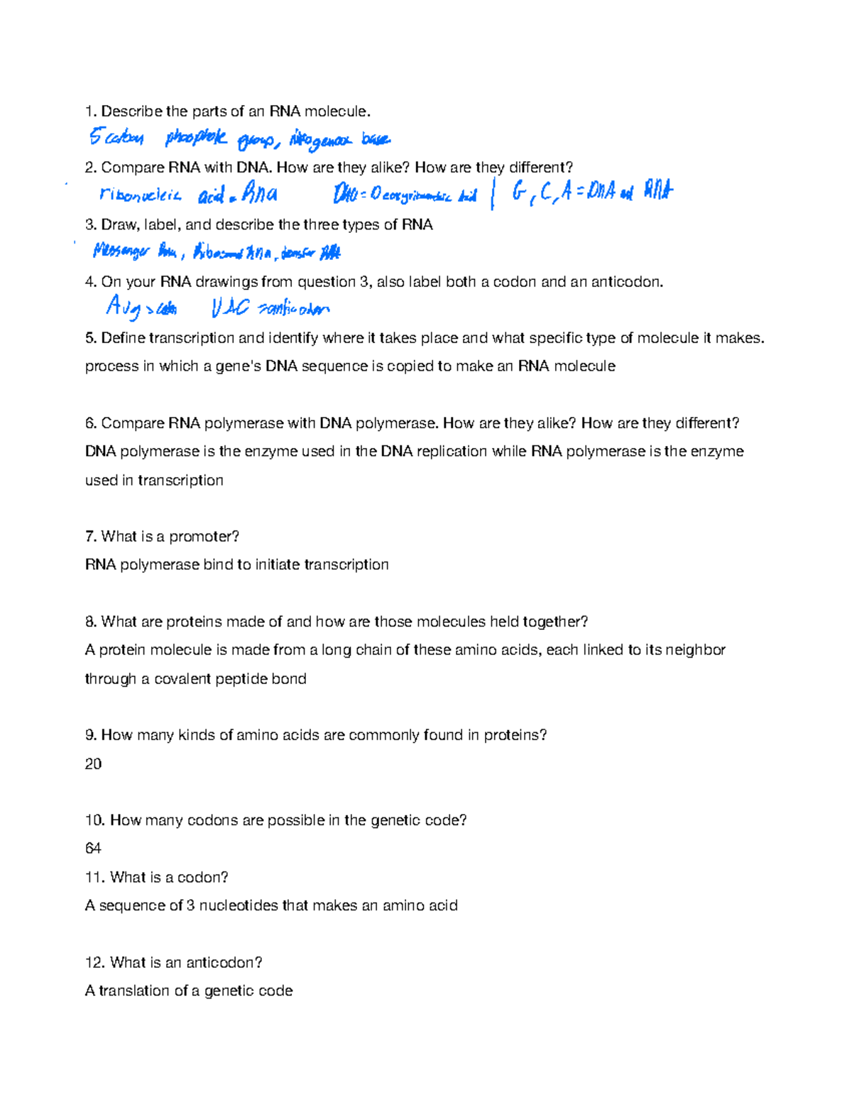 Review biology Describe the parts of an RNA molecule. Compare RNA