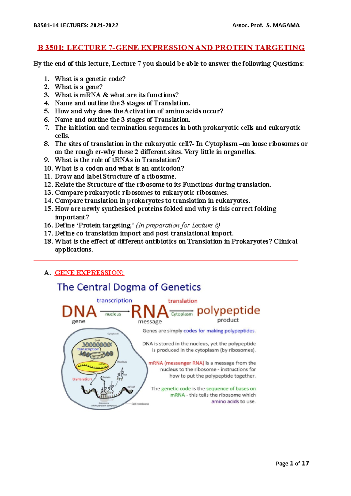 B3501- Lecture+7-GENE Expression - B 3501: LECTURE 7-GENE EXPRESSION ...