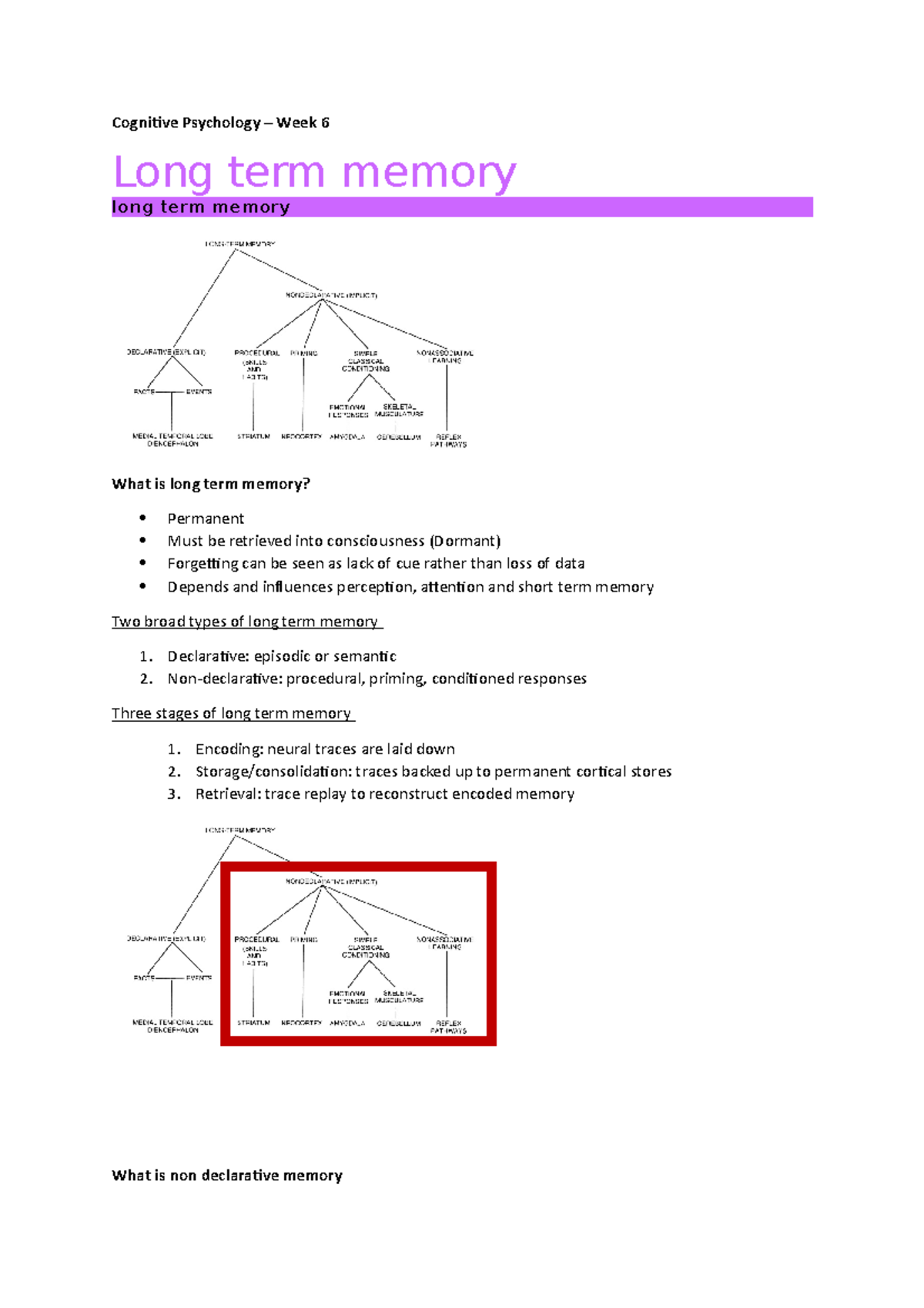 Cognitive Psychology – Week 6 - Long term memory - meaning versus sound ...