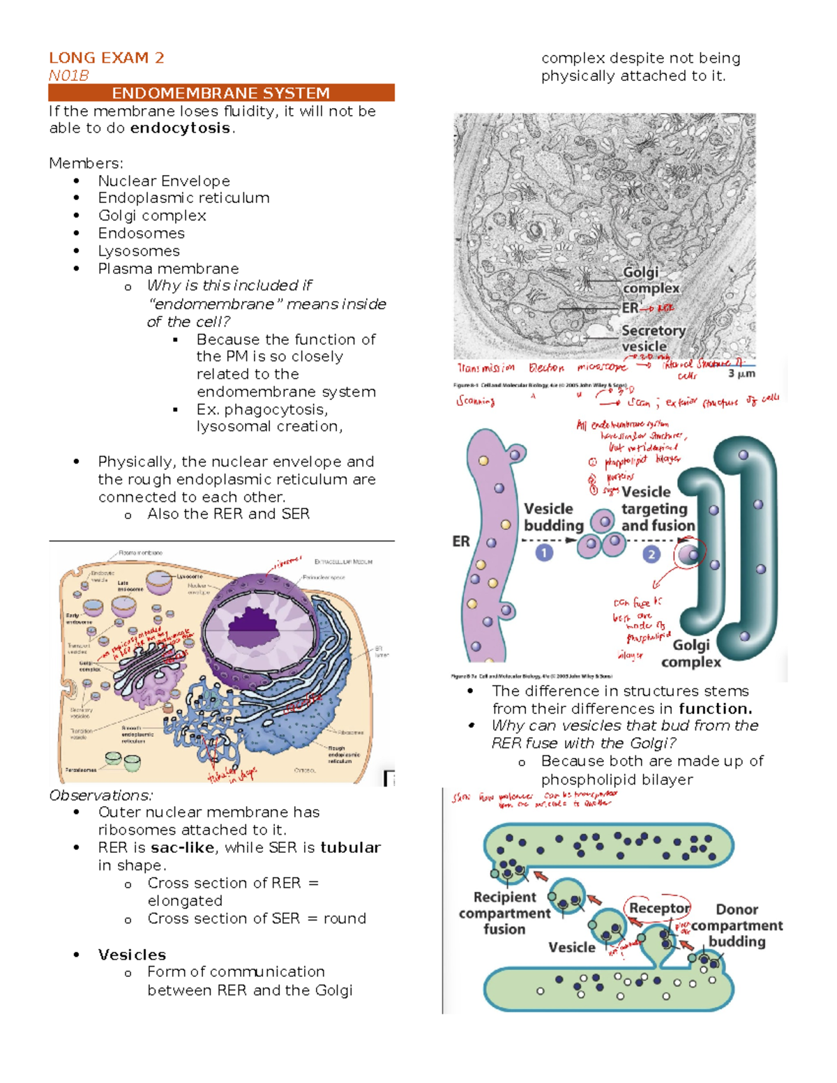 Cellmol LE2 - Cell and Molecular Biology Notes for Endomembrane System ...