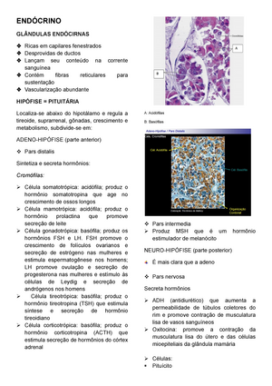 Histologia Resumo Prova TECIDO EPITELIAL TECIDO EPITELIAL Revestimento De Ou De Cavidades Do