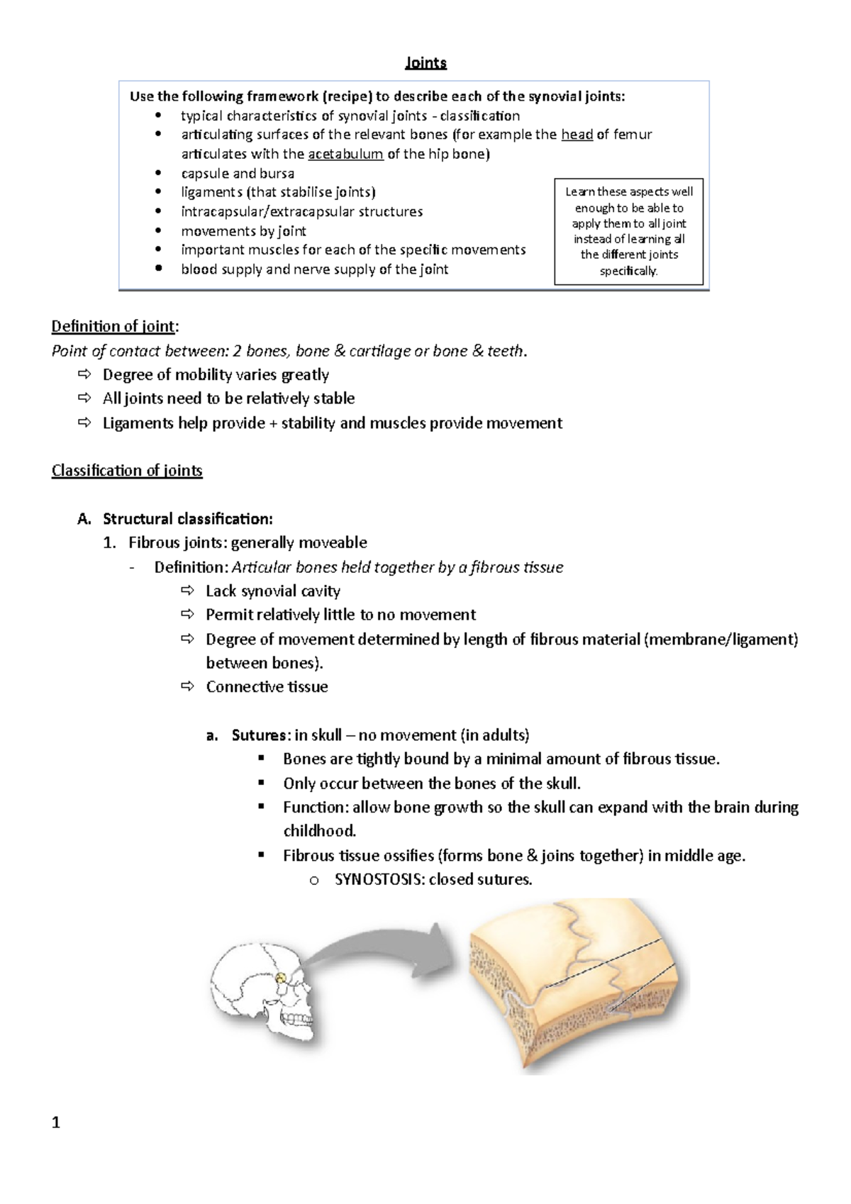 2-anatomy-joints-notes-joints-definition-of-joint-point-of-contact