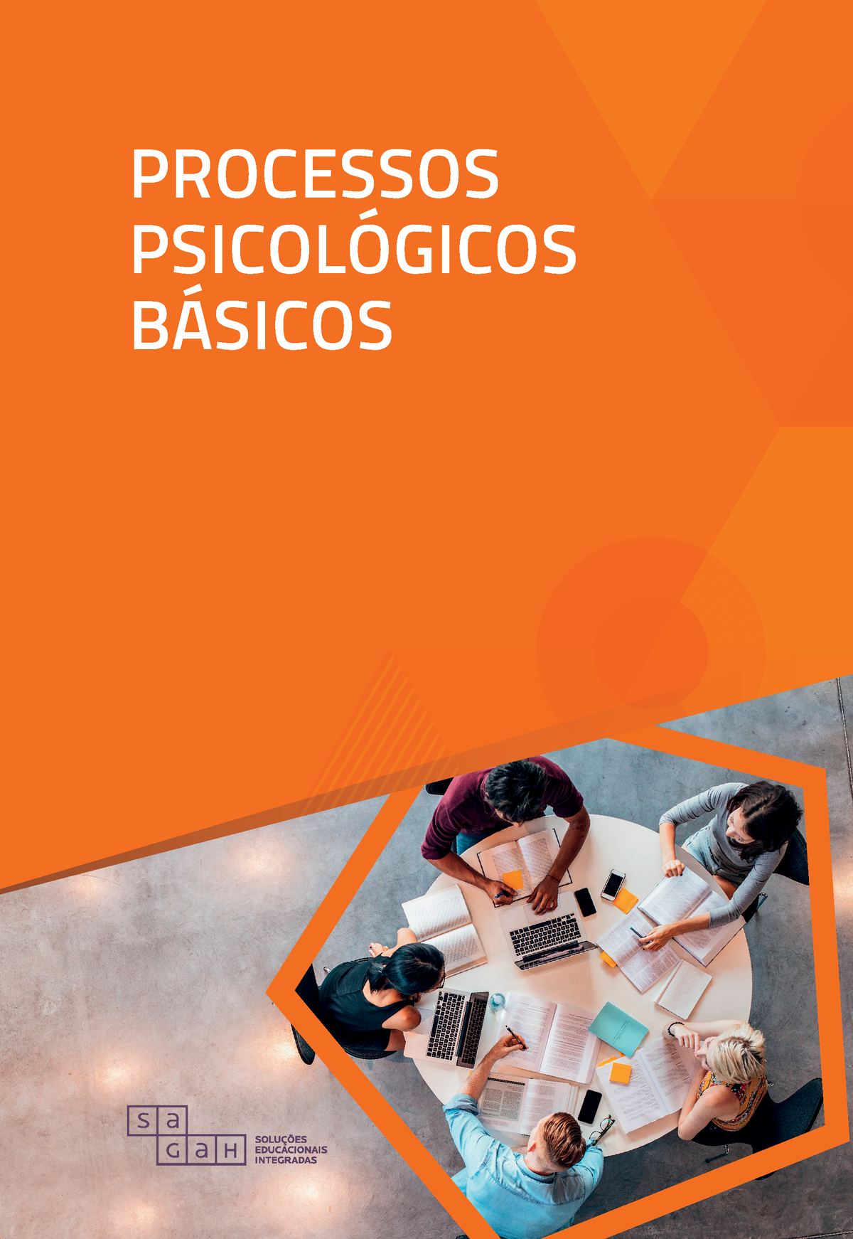 Introdução A Processos De Percepção - PROCESSOS PSICOL”GICOS B¡SICOS ...