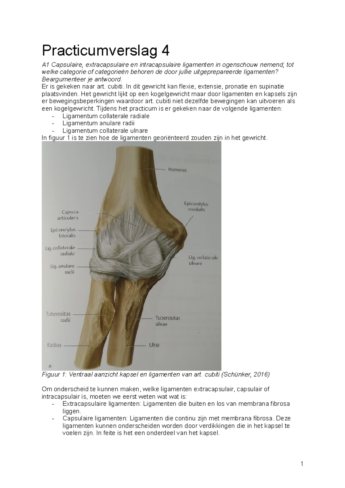 FA - Practicum Verslag 4 - Cijfer 9.2 - Practicumverslag 4 A1 ...