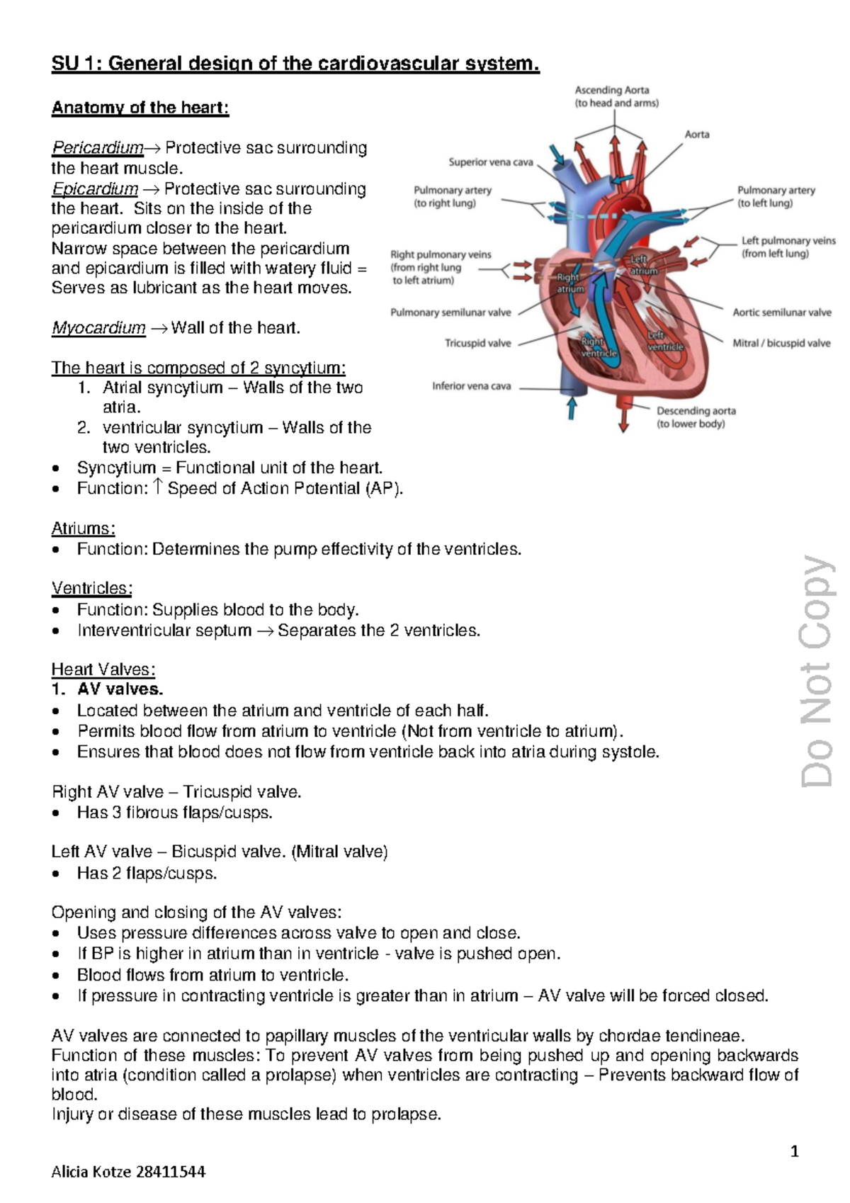 Cardio 317 COMP notes for third year first semester - AHVM 122 - NWU ...