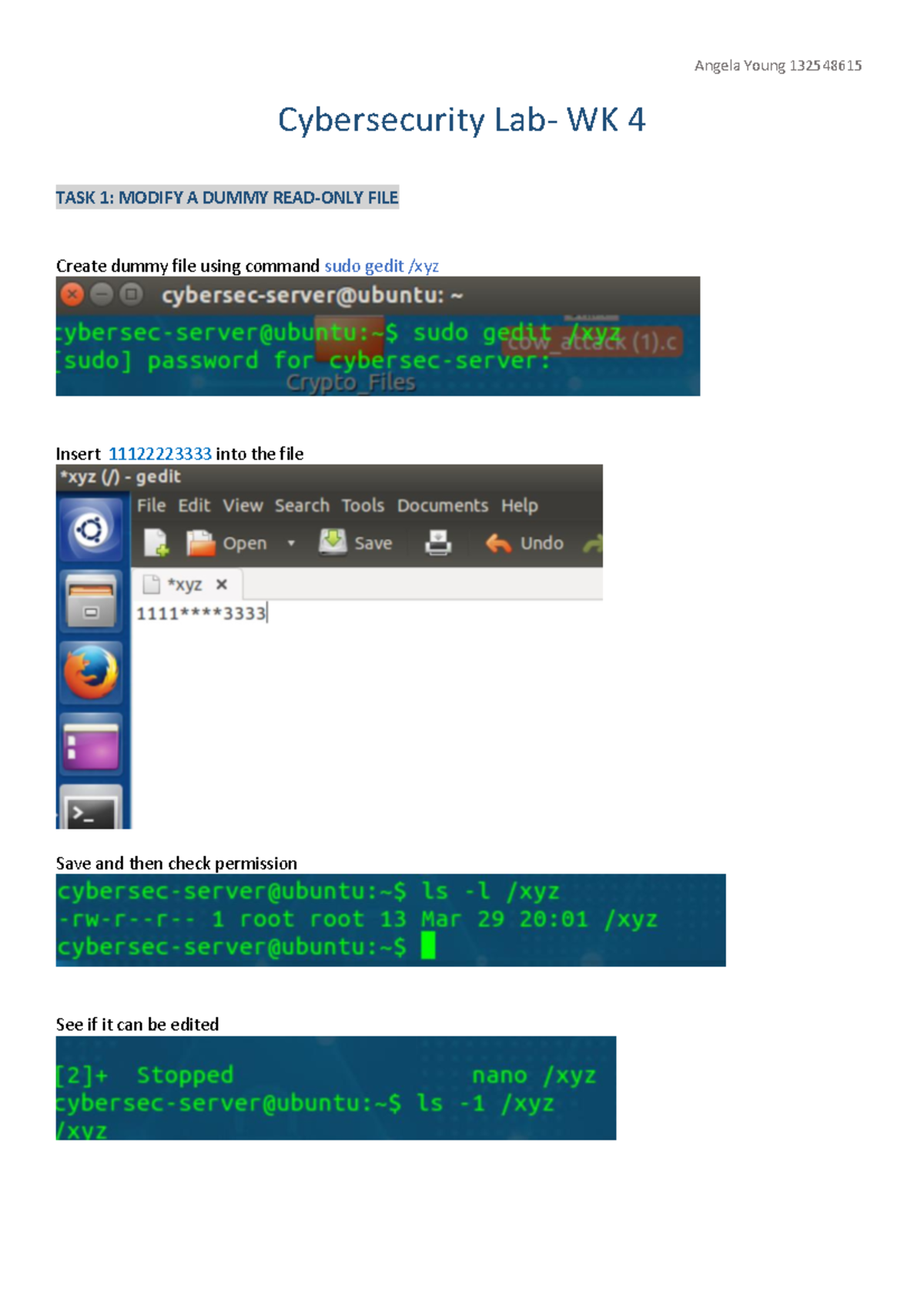 Lab 4 Lab 4 Step By Step Instruction Cybersecurity Lab Wk 4 Task 1 Modify A Dummy Read Lab 4 Lab 4 Step By Step Instruction Cybersecurity Lab Wk 4 Task 1 Modify A Dummy Read