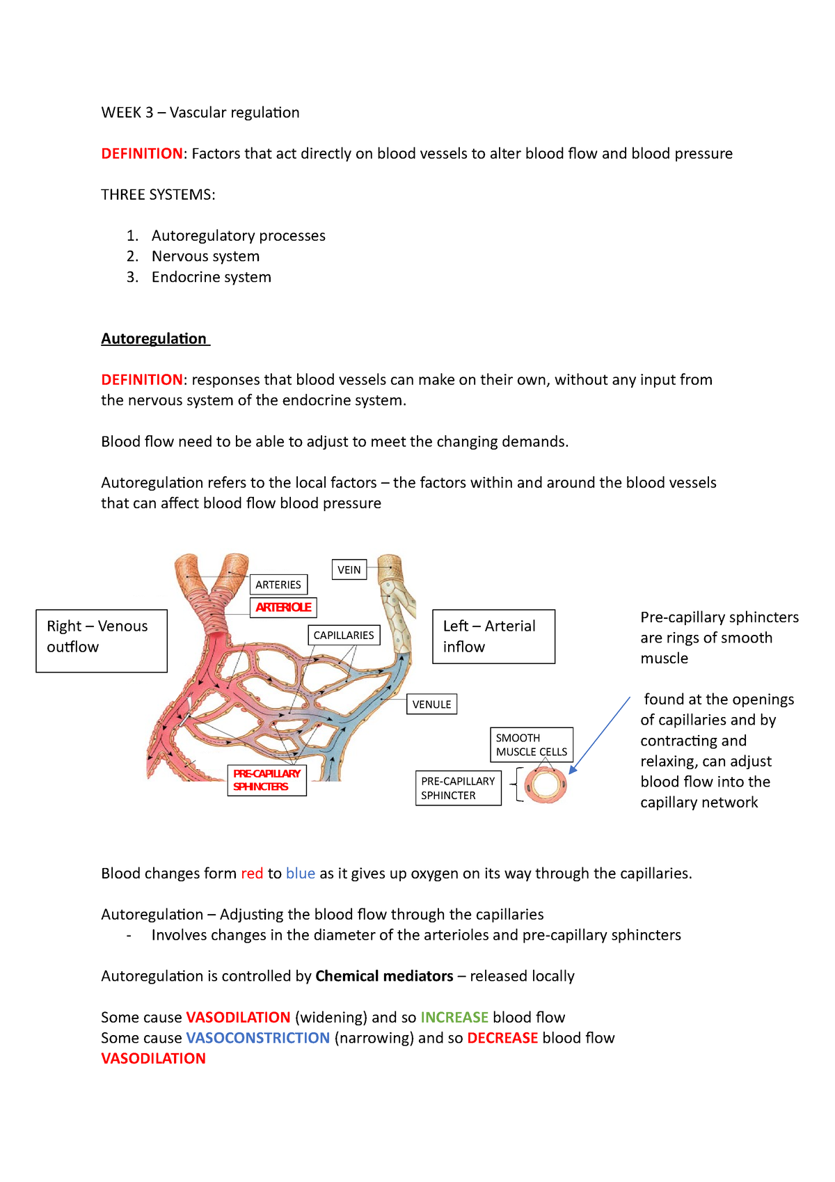 vascular-regualtion-arteries-arteriole-vein-venule-capillaries-pre