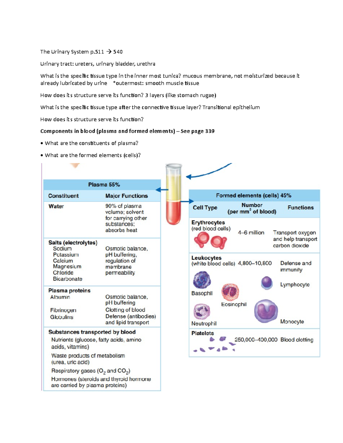 Outcome answer W10 urinary sys - The Urinary System p 540 Urinary tract ...