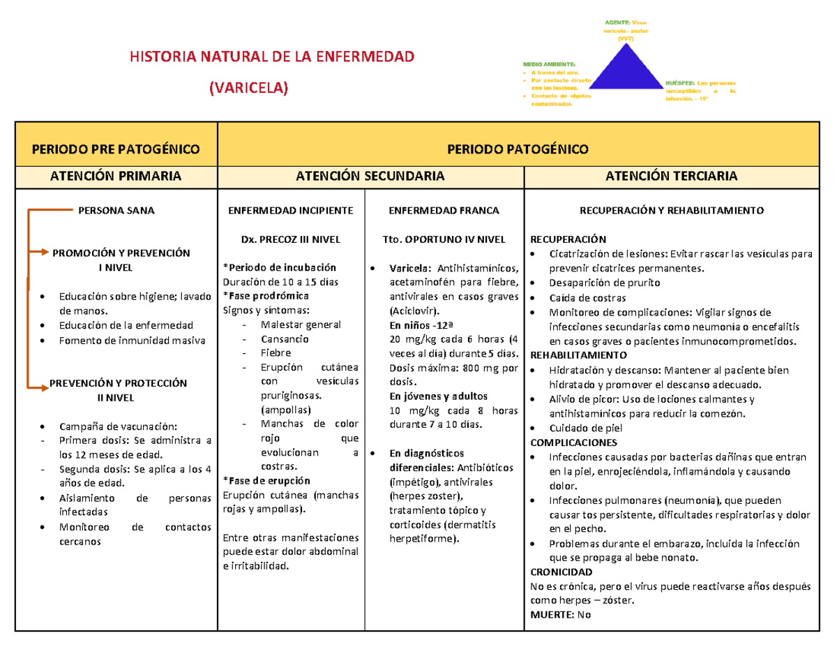 Cuadro epidemiologico de varicela - HISTORIA NATURAL DE LA ENFERMEDAD