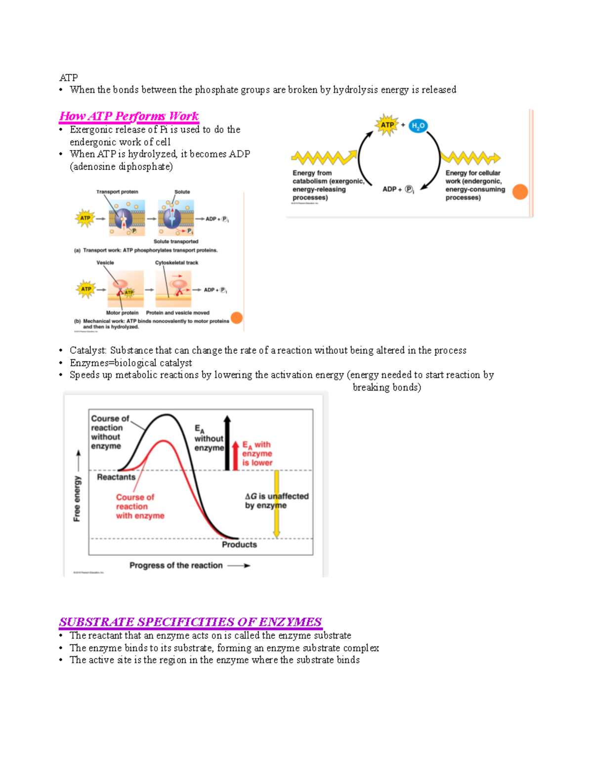 atp-s-perfomance-atp-when-the-bonds-between-the-phosphate-groups-are