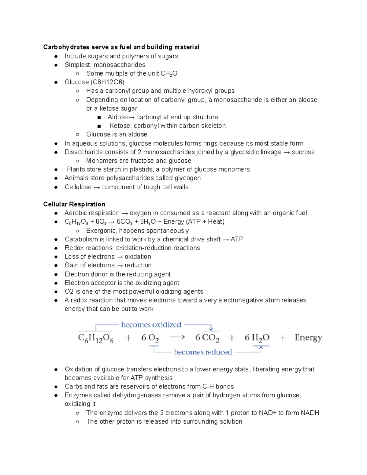 Bio 2100 test 2 - Learning objectives review for exam 2 - Carbohydrates ...