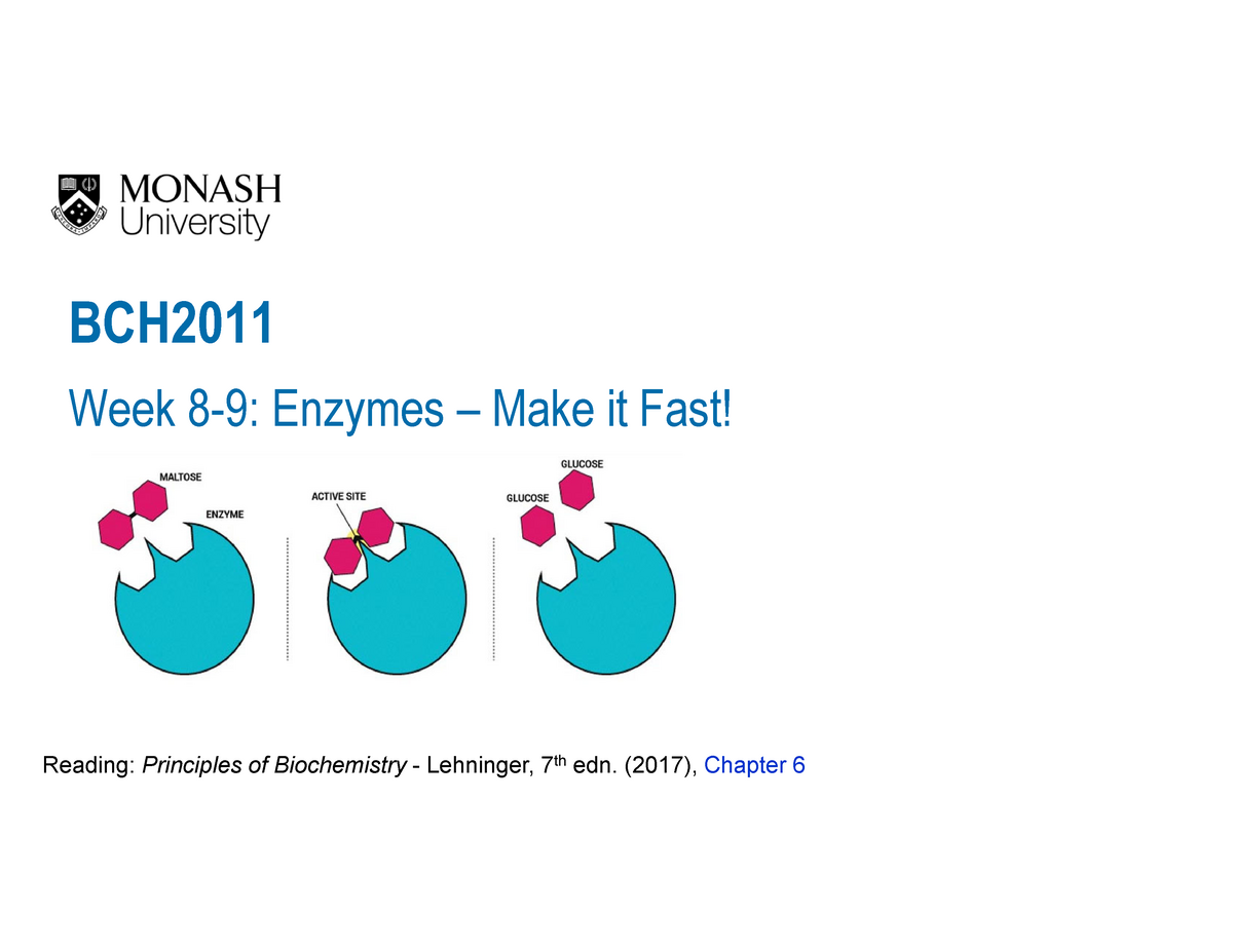 Week 8-9 - Enzymes - 1pp - BCH Week 8-9: Enzymes – Make It Fast ...