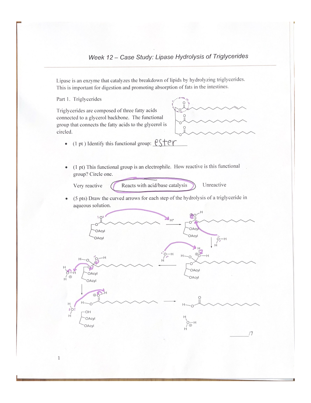 Week 12 - Case Study Lipase Hydrolysis of Triglycerides - Chem 1020 ...