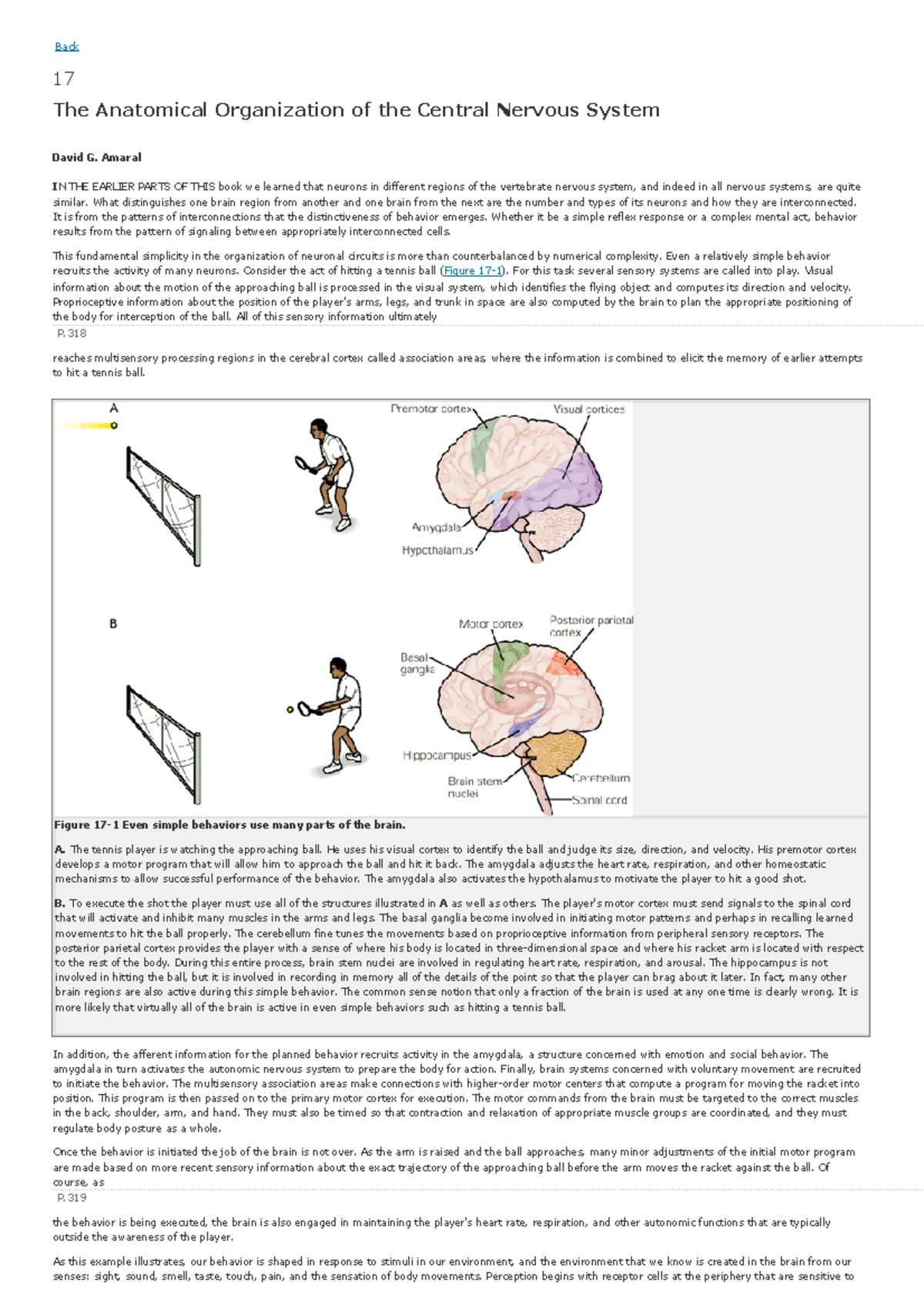 7. The Anatomical Organization of the Central Nervous System Author ...