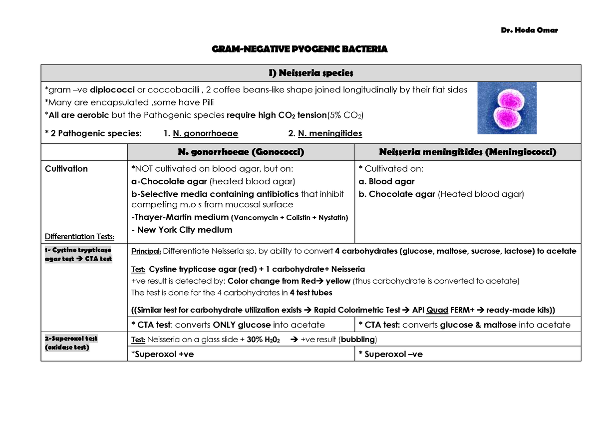 Gram -ve Lecture 1 (Neisseria + Moraxella). - GRAM-NEGATIVE PYOGENIC ...