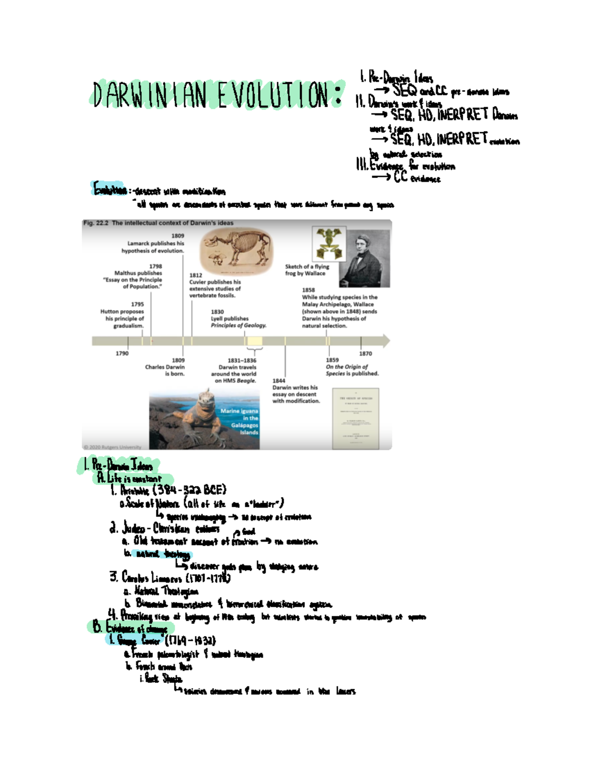 Darwinian evolution - 01:119:115 - Studocu