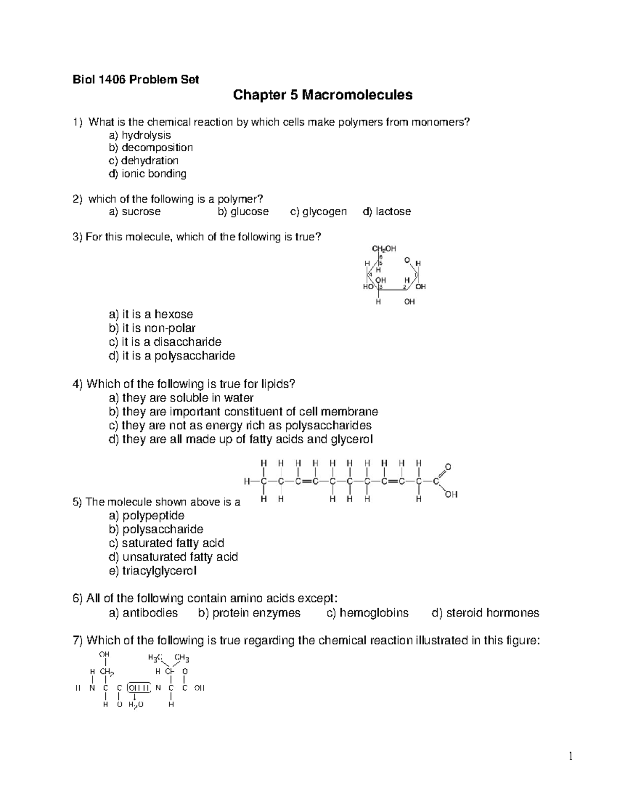 1406 Problem Sets Ch5 Biomolecules - Biol 1406 Problem Set Chapter 5 ...