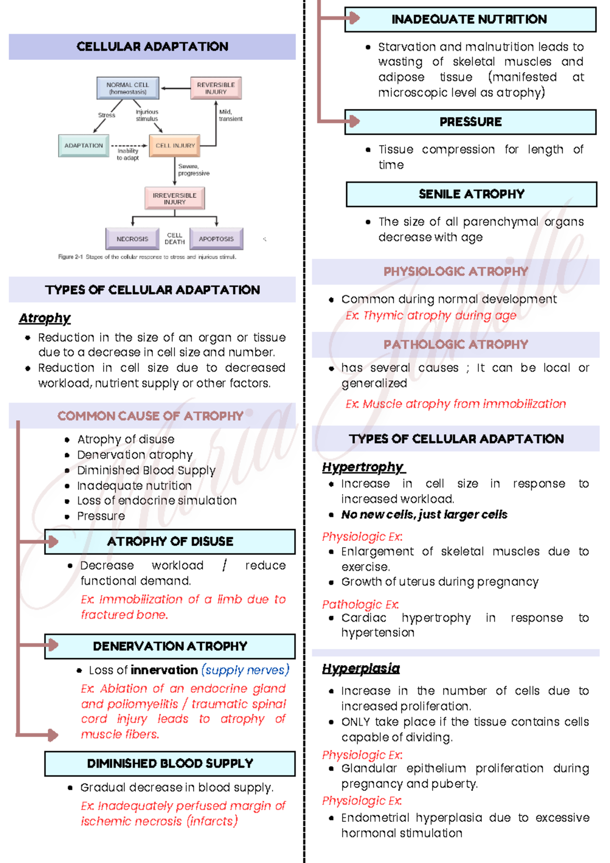 1 - Cellular Adaptation topic. Hope this will help! :) - CELLULAR ...