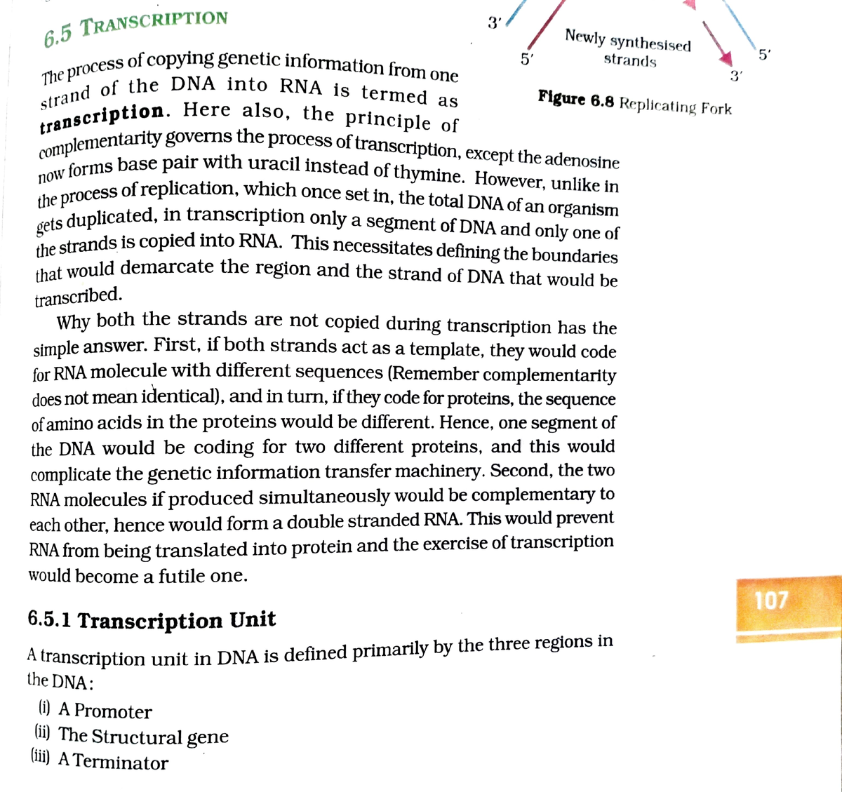 transcription-the-process-of-copying-genetic-information-from-one