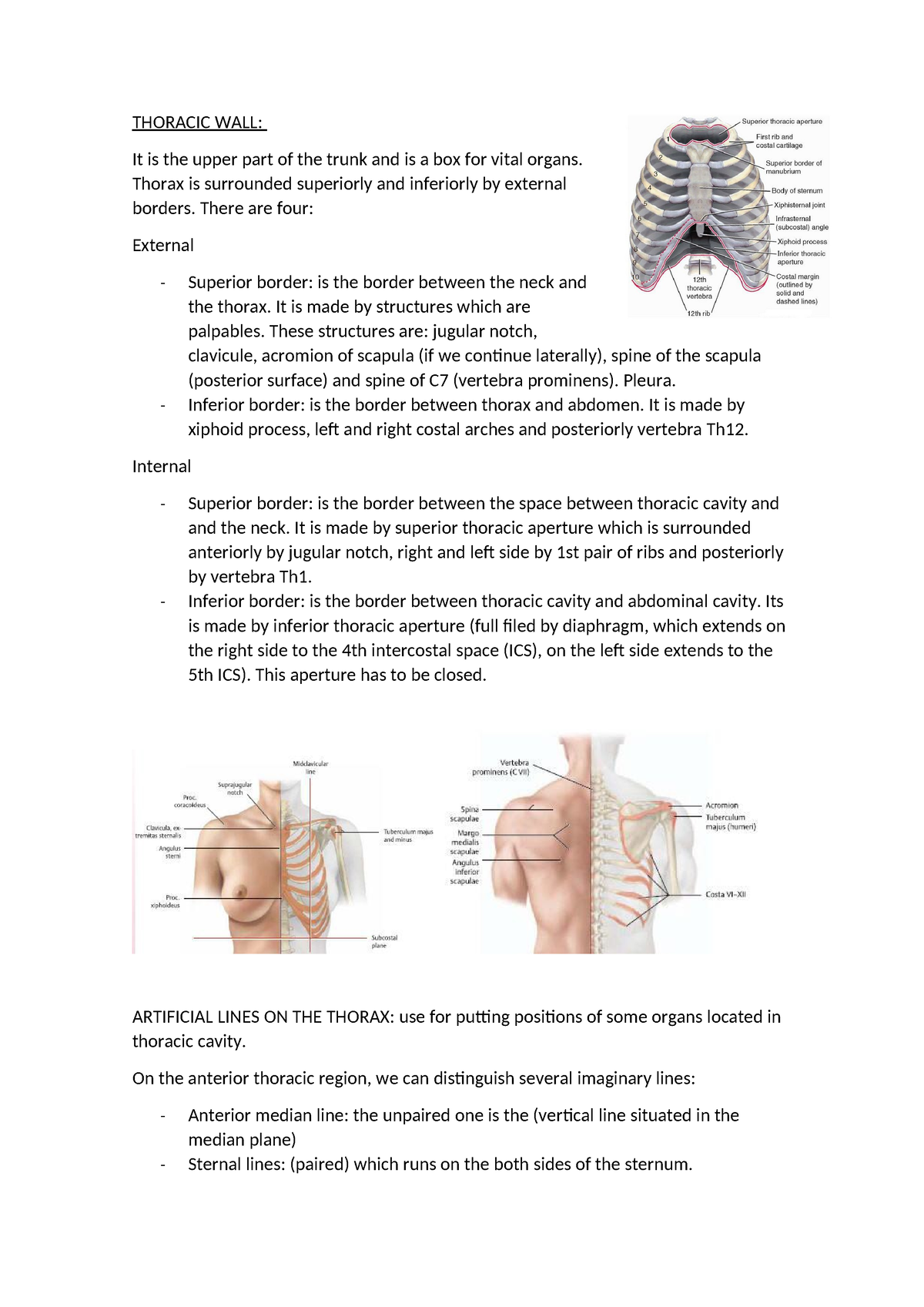 Thoracic WALL - Parts And Things Of It Is Composed Of - THORACIC WALL ...