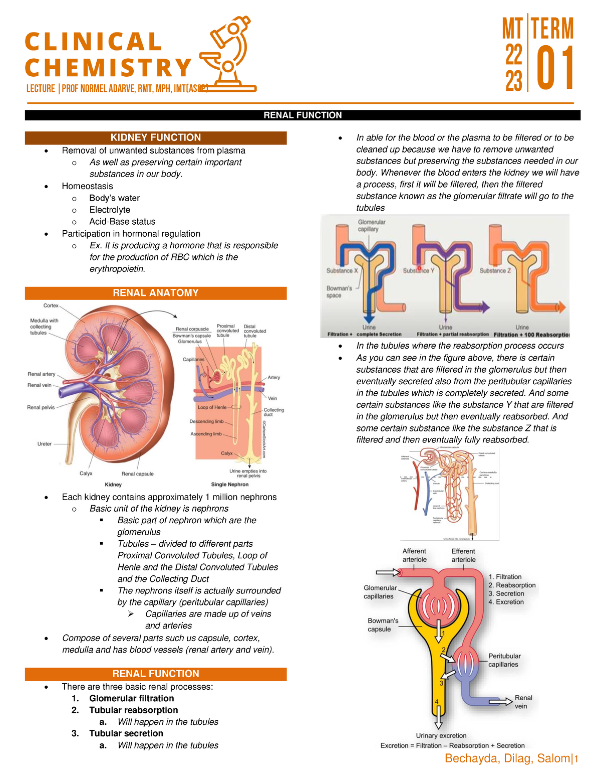 LEC 4- Renal Function - Clinical Chemistry - LECTURE prof NORMEL ADARVE,  RMT, MPH, IMT(ASCP) RENAL - Studocu