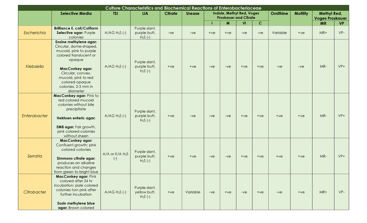 Culture Characteristics And Biochemical Reactions Of Enterobacteriaceae 