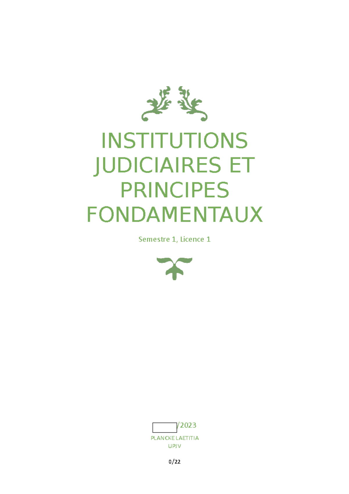 Institutions Judiciaires Et Principes Fondamentaux - INSTITUTIONS ...