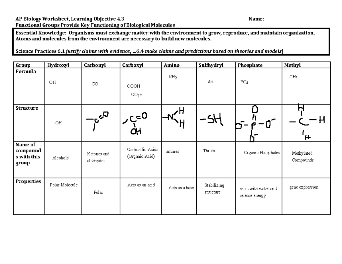 AP Bio Review Functional Groups AP Biology Worksheet Learning   Thumb 1200 927 