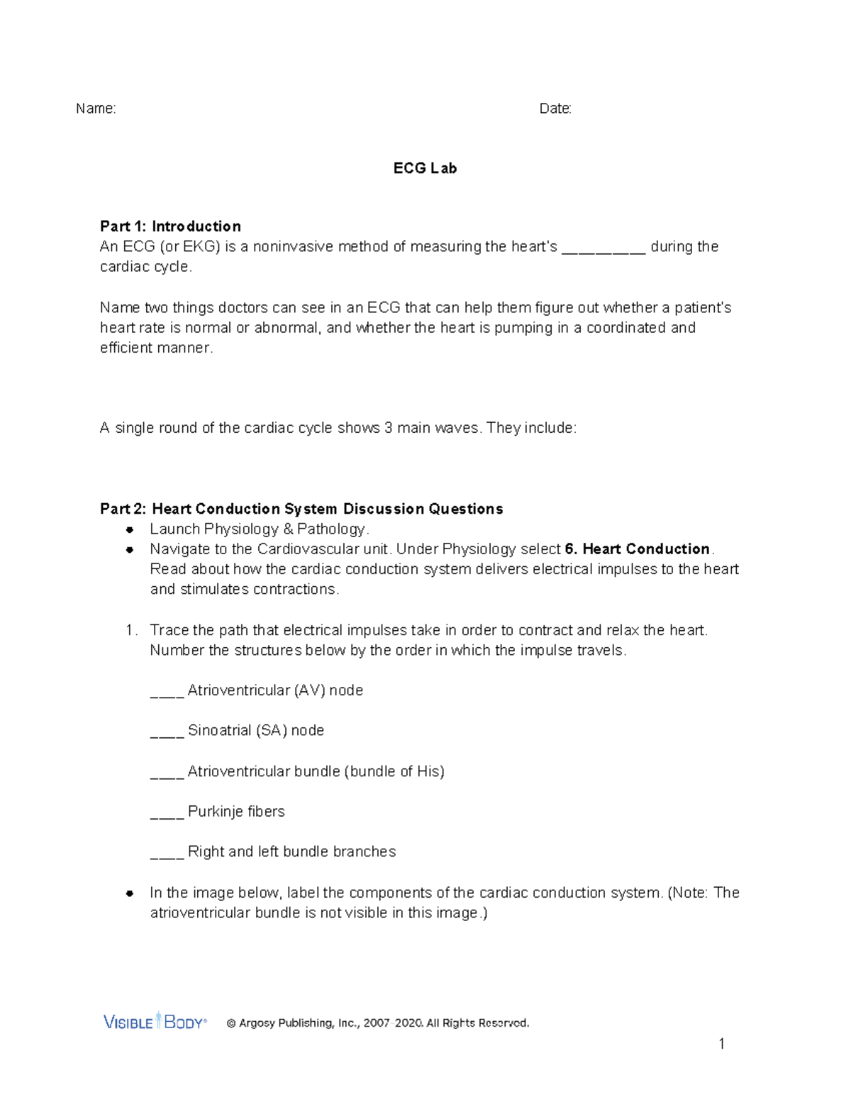 ECG Lab - Practice Heart Dissection - Name: Date: ECG Lab Part 1 ...