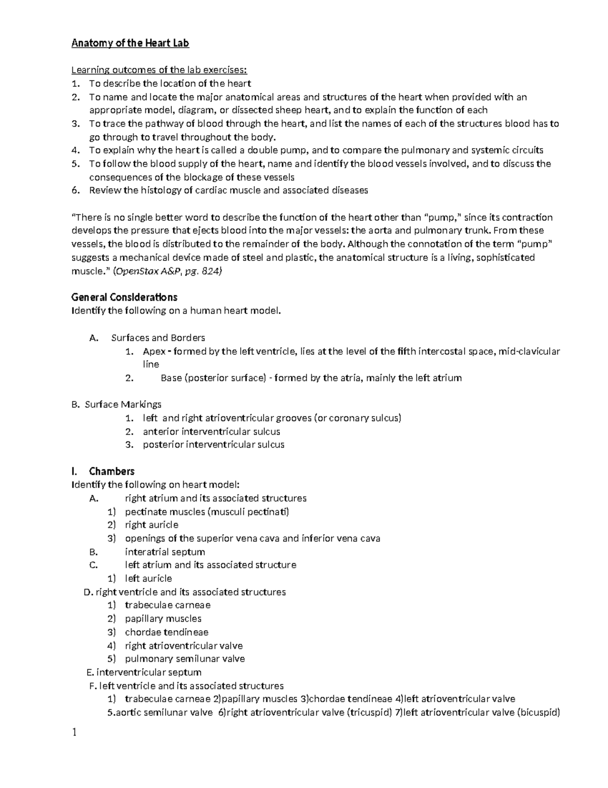 Anatomy of the Heart Lab 2023. docx - Anatomy of the Heart Lab Learning ...