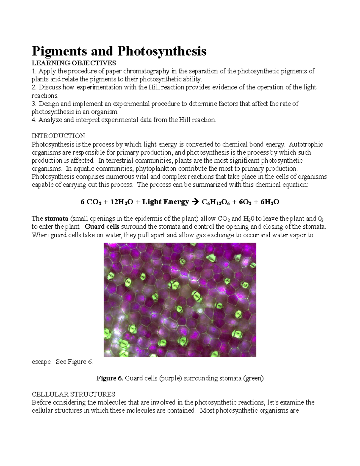 Photosynthesis lab Pigments and Photosynthesis LEARNING OBJECTIVES