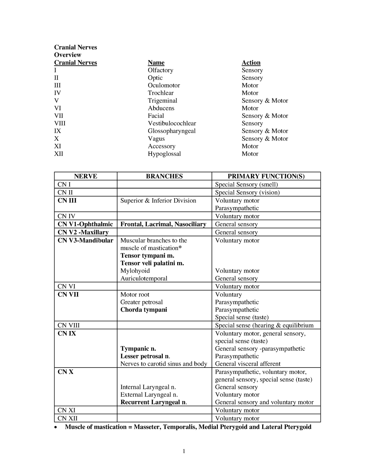 Cranial Nerves - 1 Cranial Nerves Overview Cranial Nerves I II III IV V ...