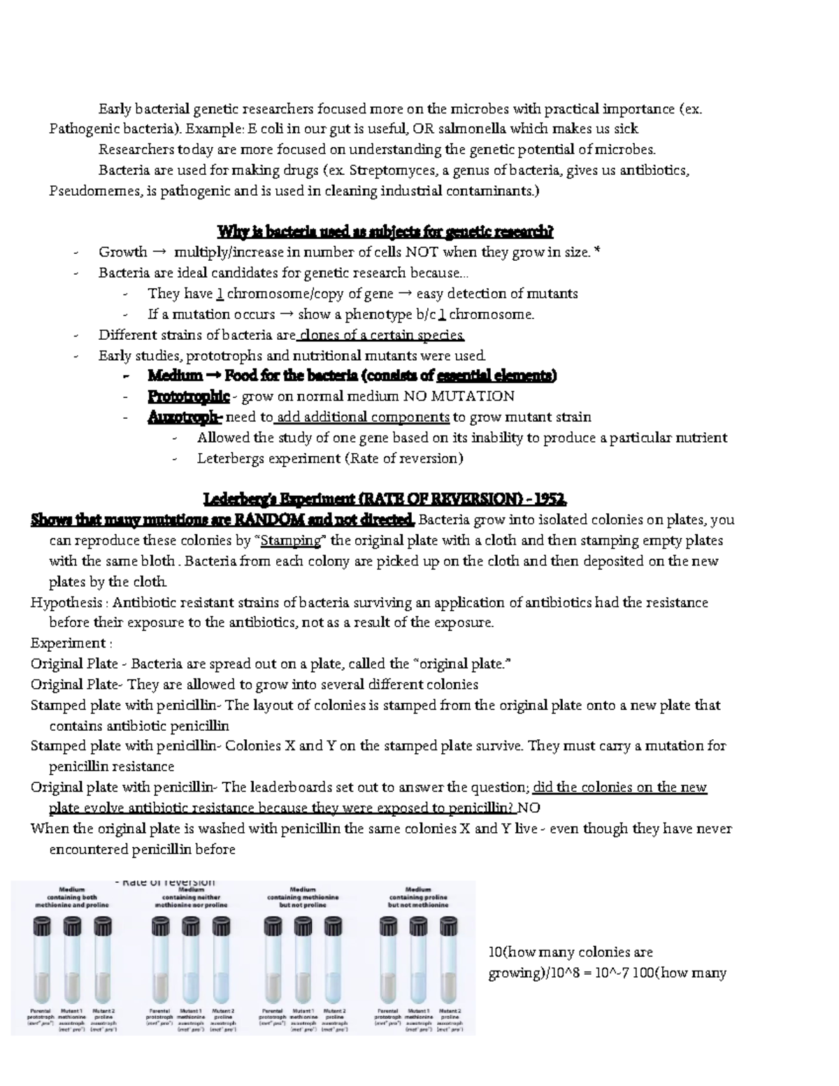 Microbiology Test 2 Review - Early Bacterial Genetic Researchers ...