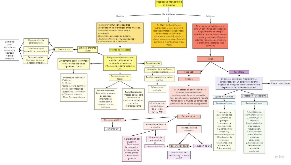 Sindrome Metabolico Mapa Conceptual Esquemas Y Mapas Conceptuales De Images My XXX Hot Girl