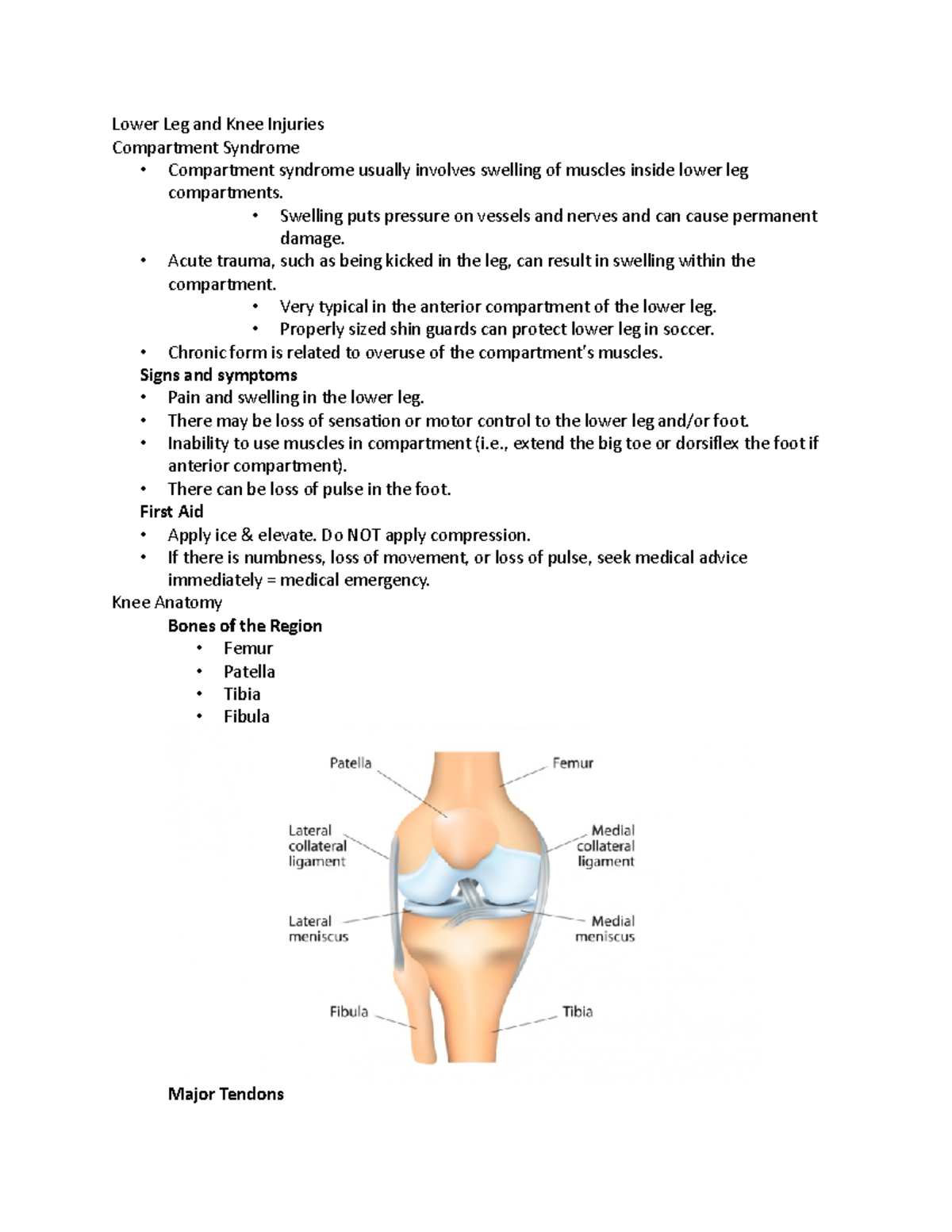 Ch 15 Leg - instructor: angela brown, lower leg and knee injuries ...