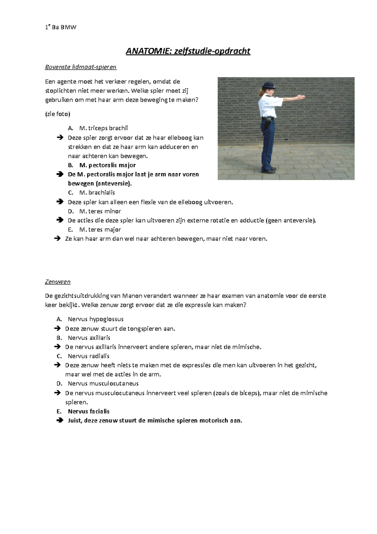 MCQ-opdracht Anatomie - 1 E Ba BMW ANATOMIE: Zelfstudie-opdracht ...