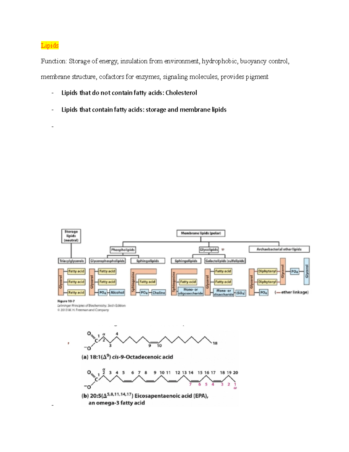 Lipids and transport-biochem - Lipids Function: Storage of energy ...