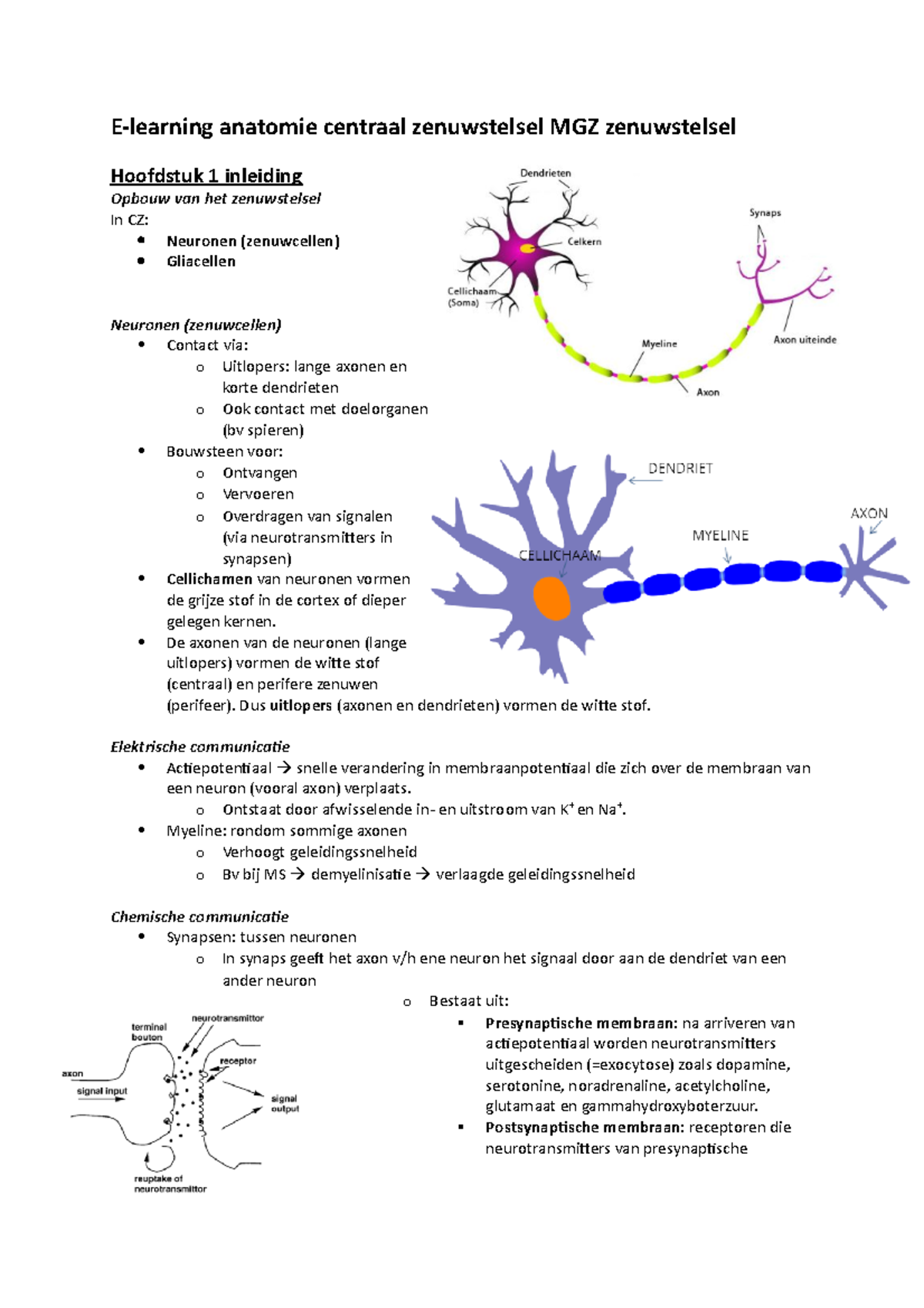 E-learning Anatomie Centraal Zenuwstelsel - De Axonen Van De Neuronen ...