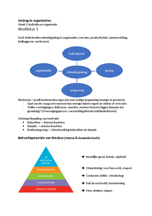 Gedrag In De Organisatie - Gedrag In De Organisatie Moeilijk Deeltoets ...