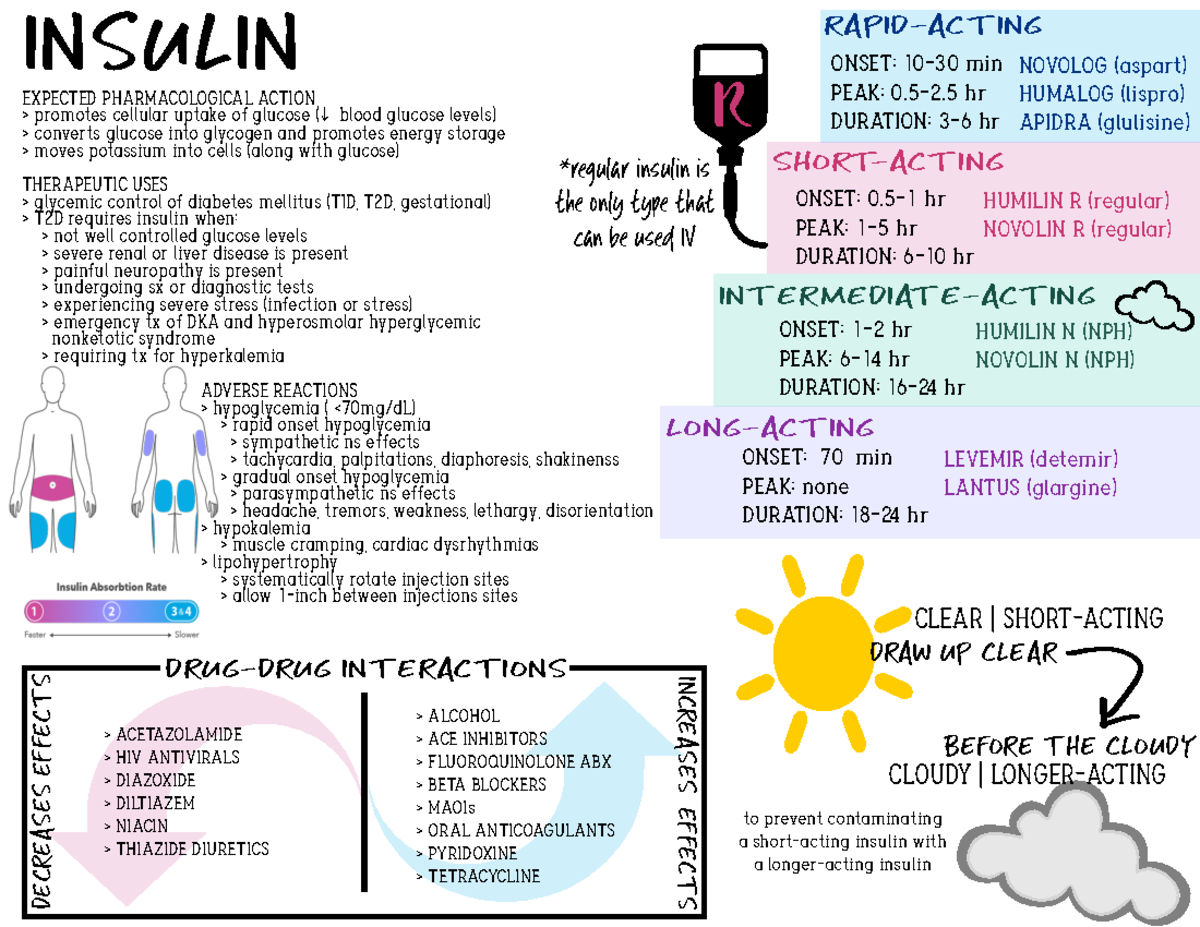 Insulin - onset, peak, duration / interactions / etc - INTERMEDIATE ...