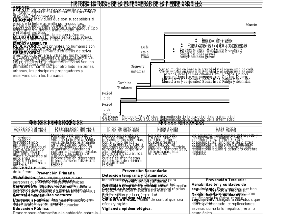 Fiebra amarilla -. - HISTORIA NATURAL DE LA ENFERMEDAD DE LA FIEBRE