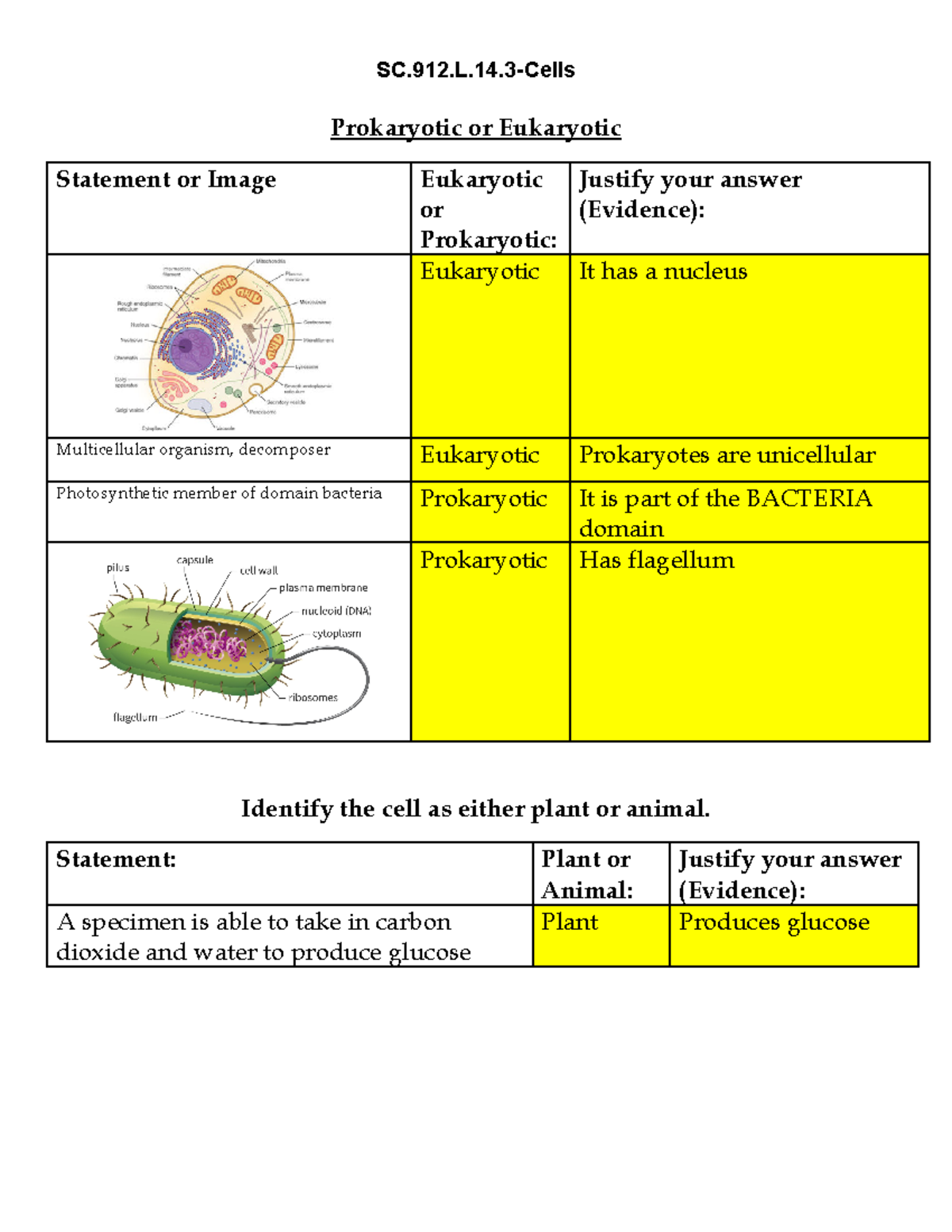 group-1-cells-and-cell-theory-sc-912-l-14-cells-prokaryotic-or