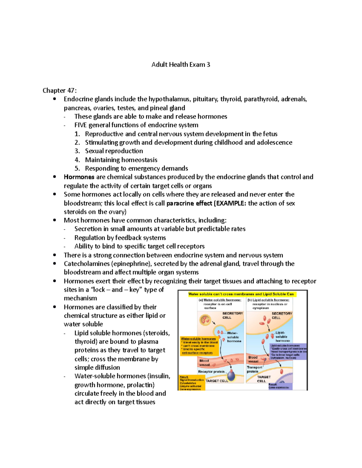 Adult Health Exam 3 - A study guide I made - Lewis's Medical-Surgical ...