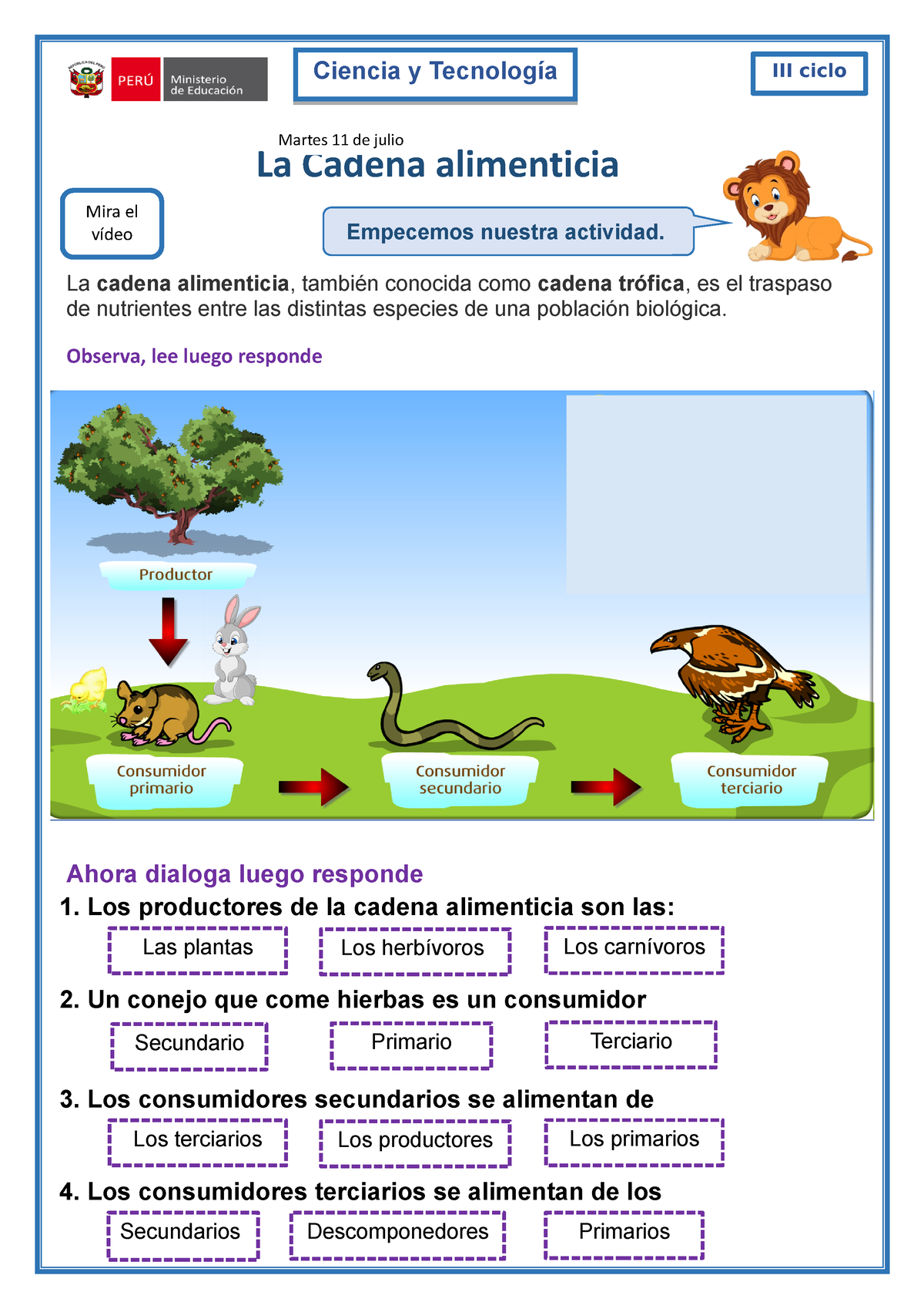 cadena alimenticia de los descomponedores