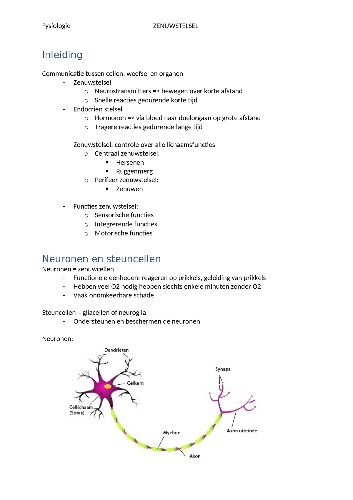 Zenuwstelsel - Samenvatting Fysiologie - Inleiding Communicatie Tussen ...