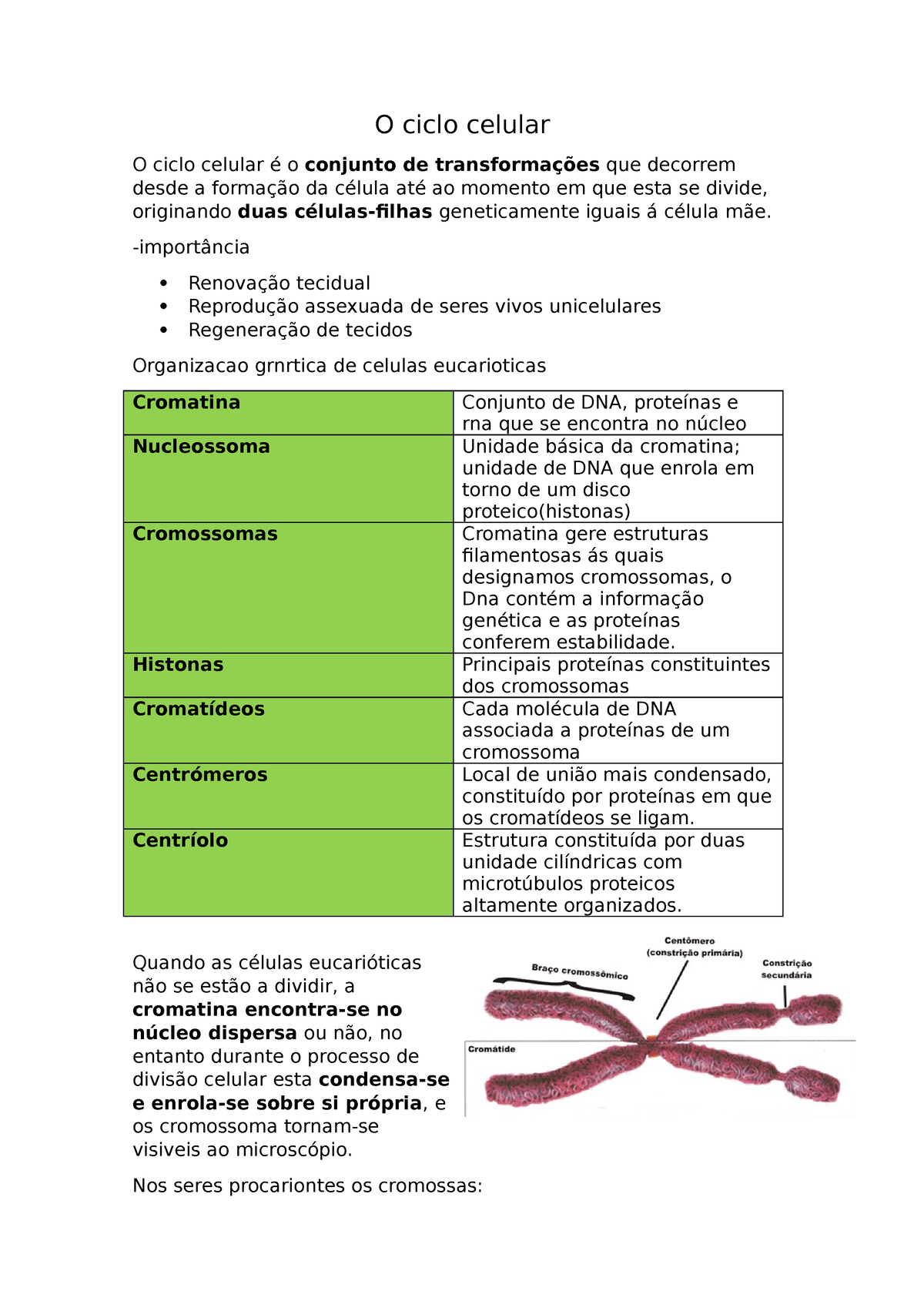 Ciclo celular: o que é, etapas, controle, resumo - Biologia Net