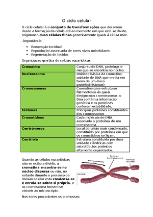 Síntese De Proteinas - Resumos Biologia 11º Ano - Síntese De Proteinas ...