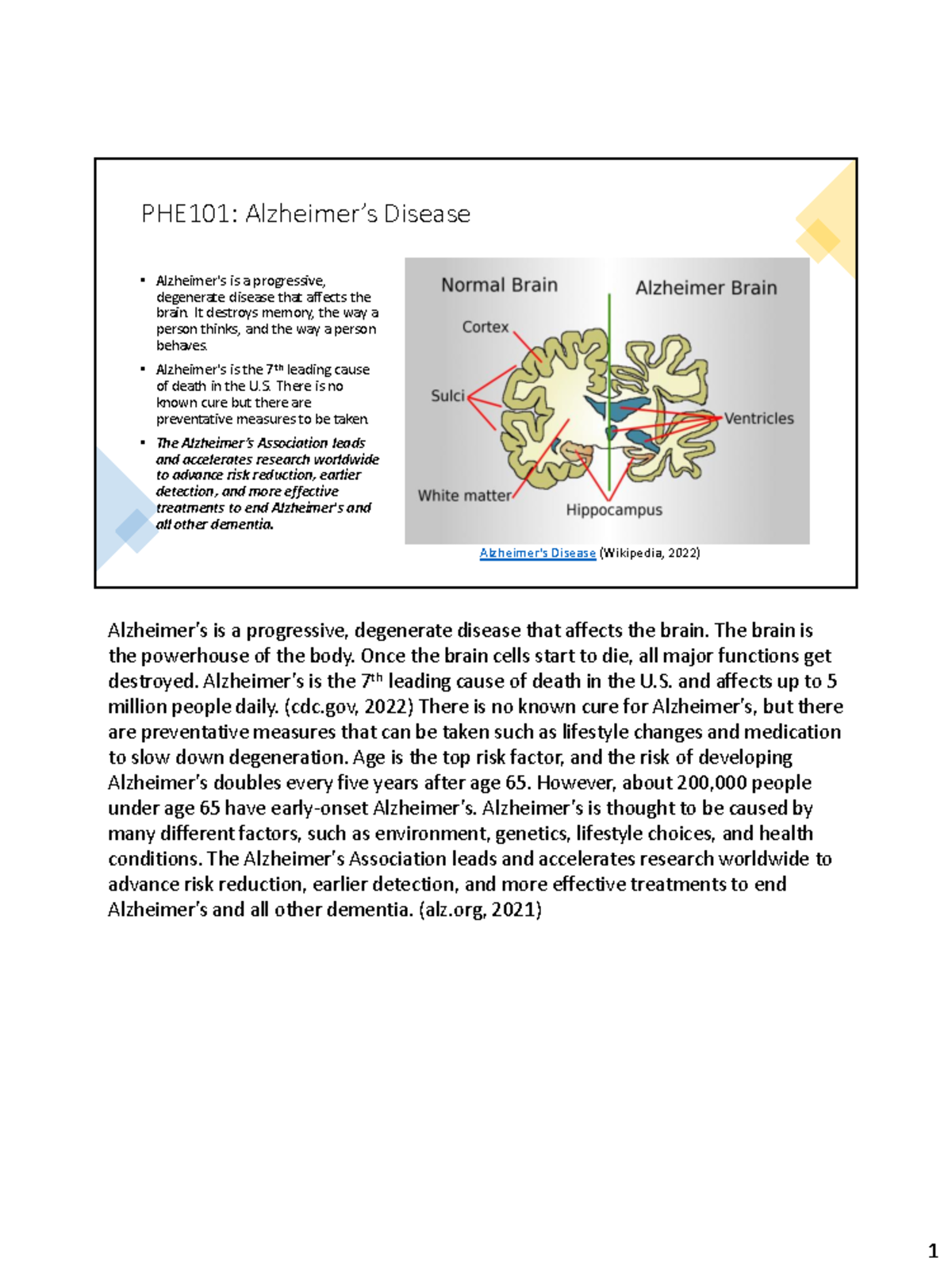 Is Phe Inc P41 Right For You?  A Comprehensive Overview - 8hw2bfe